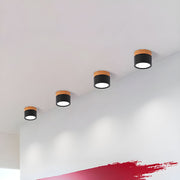 Small Hallway Simple LED Ceiling Lights