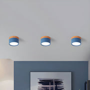 Small Hallway Simple LED Ceiling Lights