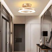 Gold Simple Iron Hallway LED Dimmable Ceiling Light