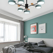 Creative Acrylic LED Ceiling Light for Living Room