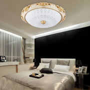 Vintage Dome Flush Mounted LED Ceiling Light