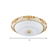 Vintage Dome Flush Mounted LED Ceiling Light