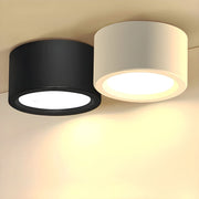 Nordic Style Indoor Simple Flush Ceiling Lights