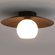 Contemporary Minimalist Entrance Ceiling Lights