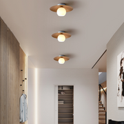 Contemporary Minimalist Entrance Ceiling Lights