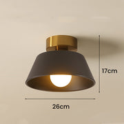 Modern Simple Semi Flush Ceiling Lighting For Living Room