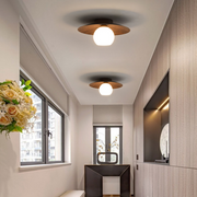 Contemporary Minimalist Entrance Ceiling Lights