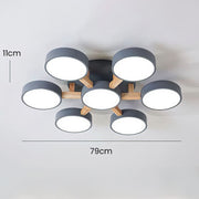 Modern Acrylic Bedroom Ceiling Light