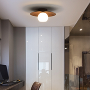 Contemporary Minimalist Entrance Ceiling Lights