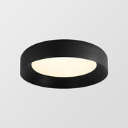 Simple Creative Metal Flush Mount LED Ceiling Lamp