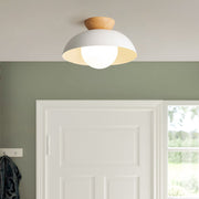 Modern Nordic Simple Ceiling Lighting