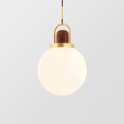 Glass Globe Splendor Pendant Light-Lampsmodern