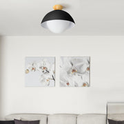 Modern Nordic Simple Ceiling Lighting