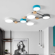 Multi Heads Branch Iron Bedroom LED Ceiling Light