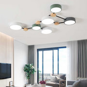 Multi Heads Branch Iron Bedroom LED Ceiling Light