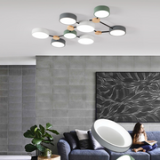 Multi Heads Branch Iron Bedroom LED Ceiling Light