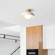 Modern Nordic Simple Ceiling Lighting