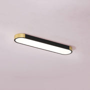 Modern Minimalist Creative Iron Living Room LED Ceiling Light