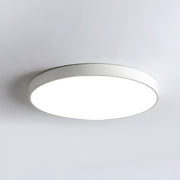 Simple Round LED Flush Mount Dimmable Ceiling Light