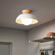 Modern Nordic Simple Ceiling Lighting