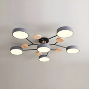 Modern Flush Round Iron LED Living Room Ceiling Light