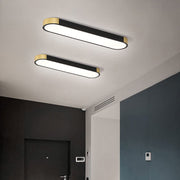 Modern Minimalist Creative Iron Living Room LED Dimmable Ceiling Light