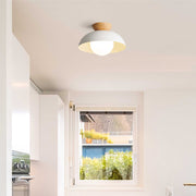 Modern Nordic Simple Ceiling Lighting