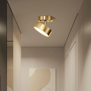 Modern Led Adjustable Ceiling Lights