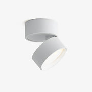 Contemporary Mini Surface Mounted Adjustable Ceiling Lamp