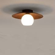 Contemporary Minimalist Entrance Ceiling Lights