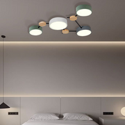 Multi Heads Branch Iron Bedroom LED Ceiling Light