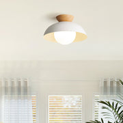 Modern Nordic Simple Ceiling Lighting