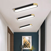 Modern Minimalist Creative Iron Living Room LED Ceiling Light