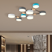 Multi Heads Branch Iron Bedroom LED Ceiling Light