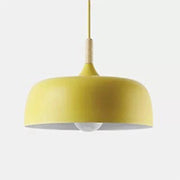 Contemporary Acorn Pendant Lamp