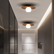 Contemporary Minimalist Entrance Ceiling Lights