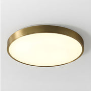 Simple Circular Flush Mount LED Ceiling Lights