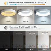 Creative Colorful Simple LED Dimmable Ceiling Lights