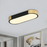 Modern Minimalist Creative Iron Living Room LED Ceiling Light