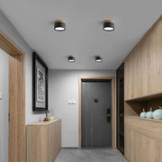 Small Hallway Simple LED Ceiling Lights