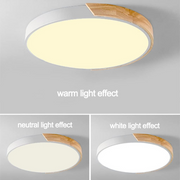 Simple Round Wood LED Dimmable Ceiling Lights