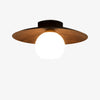 Contemporary Minimalist Entrance Ceiling Lights