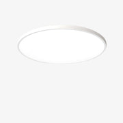 Minimalism Round Flush LED Dimmable Ceiling Light