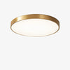 Simple Circular Flush Mount LED Ceiling Lights