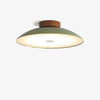 Retro Iron Aisle LED Ceiling Lamp