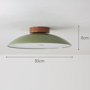 Retro Iron Aisle LED Ceiling Lamp