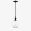 Modern Minimalist Black Glass Living Room Pendant Lights