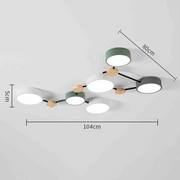 Multi Heads Branch Iron Bedroom LED Ceiling Light