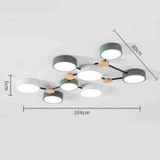 Multi Heads Branch Iron Bedroom LED Ceiling Light