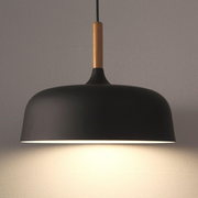 Contemporary Acorn Pendant Lamp